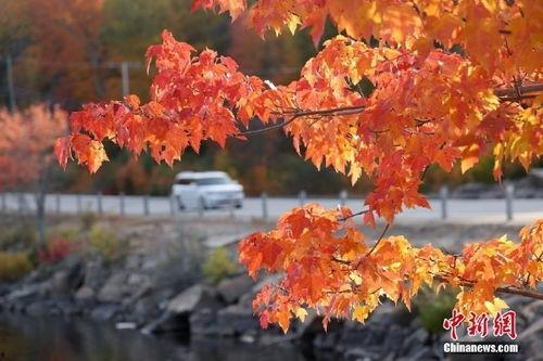 百变日韩公主换装手游 