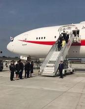 樱花草视频手机最新版 