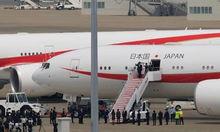 樱花草视频手机最新版 