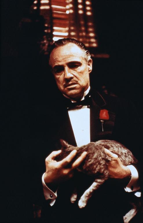 百变日韩公主换装手游 